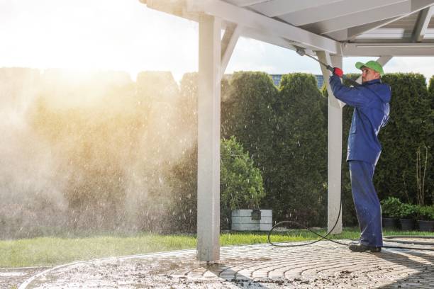 Best Playground Equipment Cleaning  in Leadwood, MO