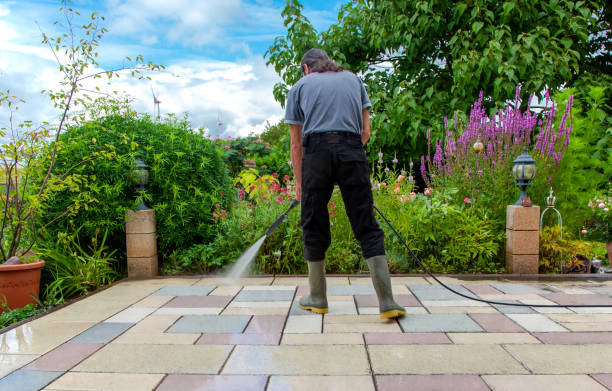 Best Animal Enclosure Cleaning  in Leadwood, MO